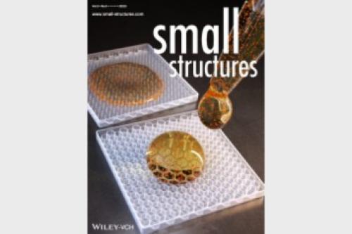 (Small_structures)_2023.11_Shin, S., Oh, S., Park, S. R., Cho, H., Kim, S., & Cho, Y. T. (2023). Multifunctional Microcavity Surfaces for Robust Capture and Direct Rapid Sampling of Concentrated Analytes. Small Structures, 2300400.  대표이미지