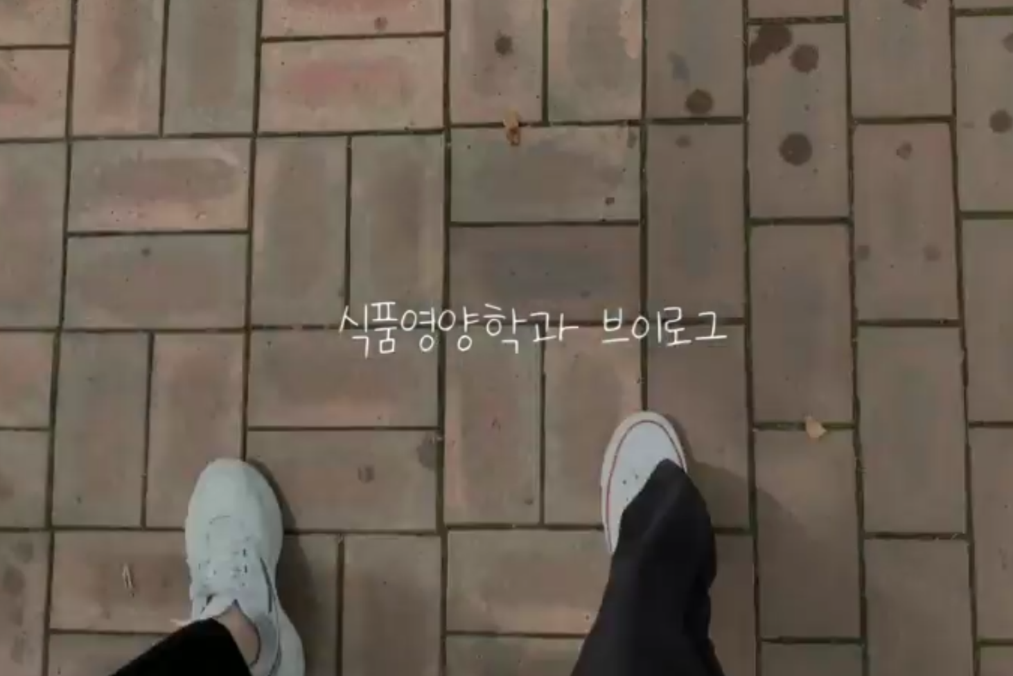 창원대학교 홍보동영상