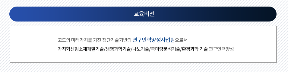 교육비전