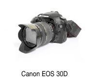 Canon EOS 3OD 이미지